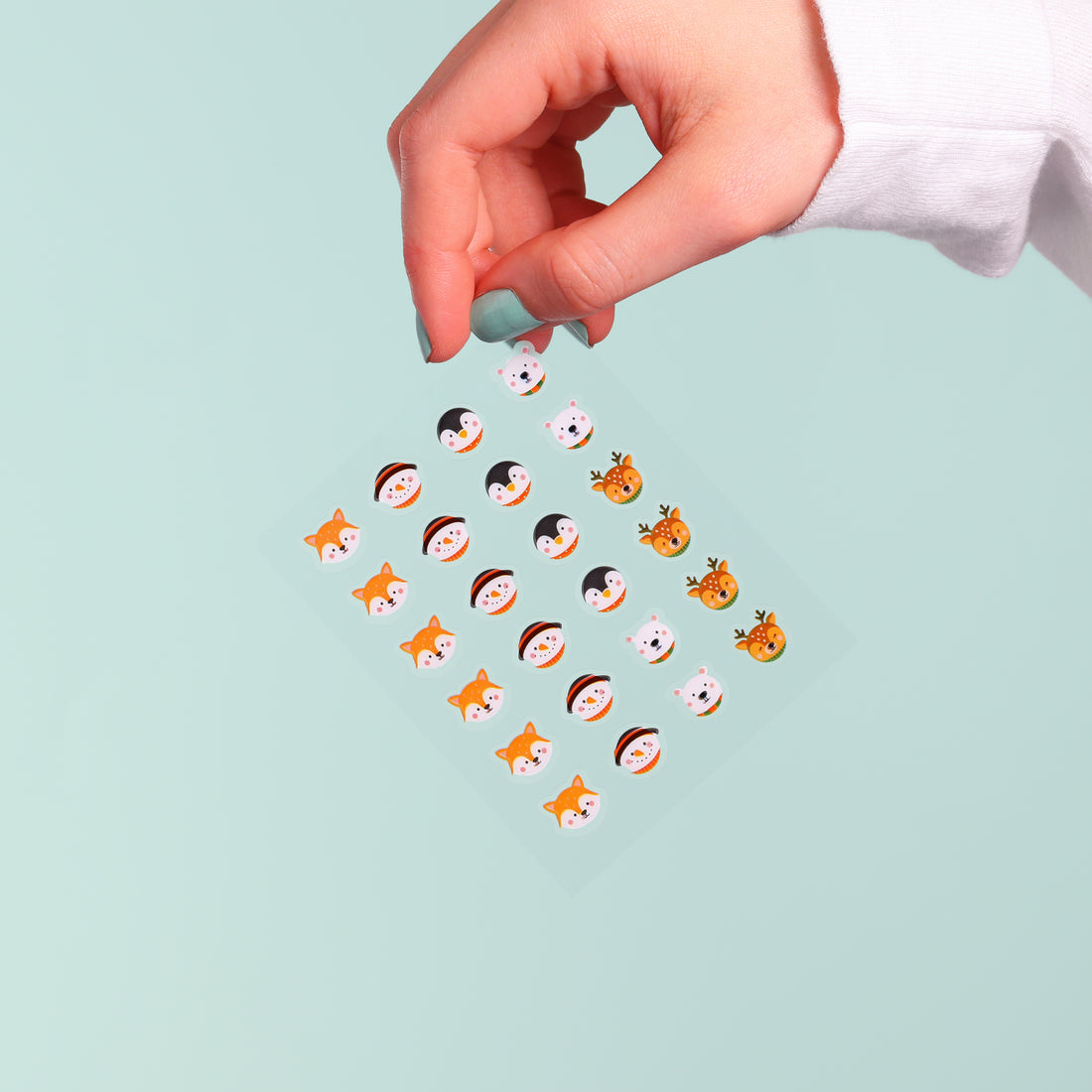 Winter Wonder Pals Hydrocolloi-647